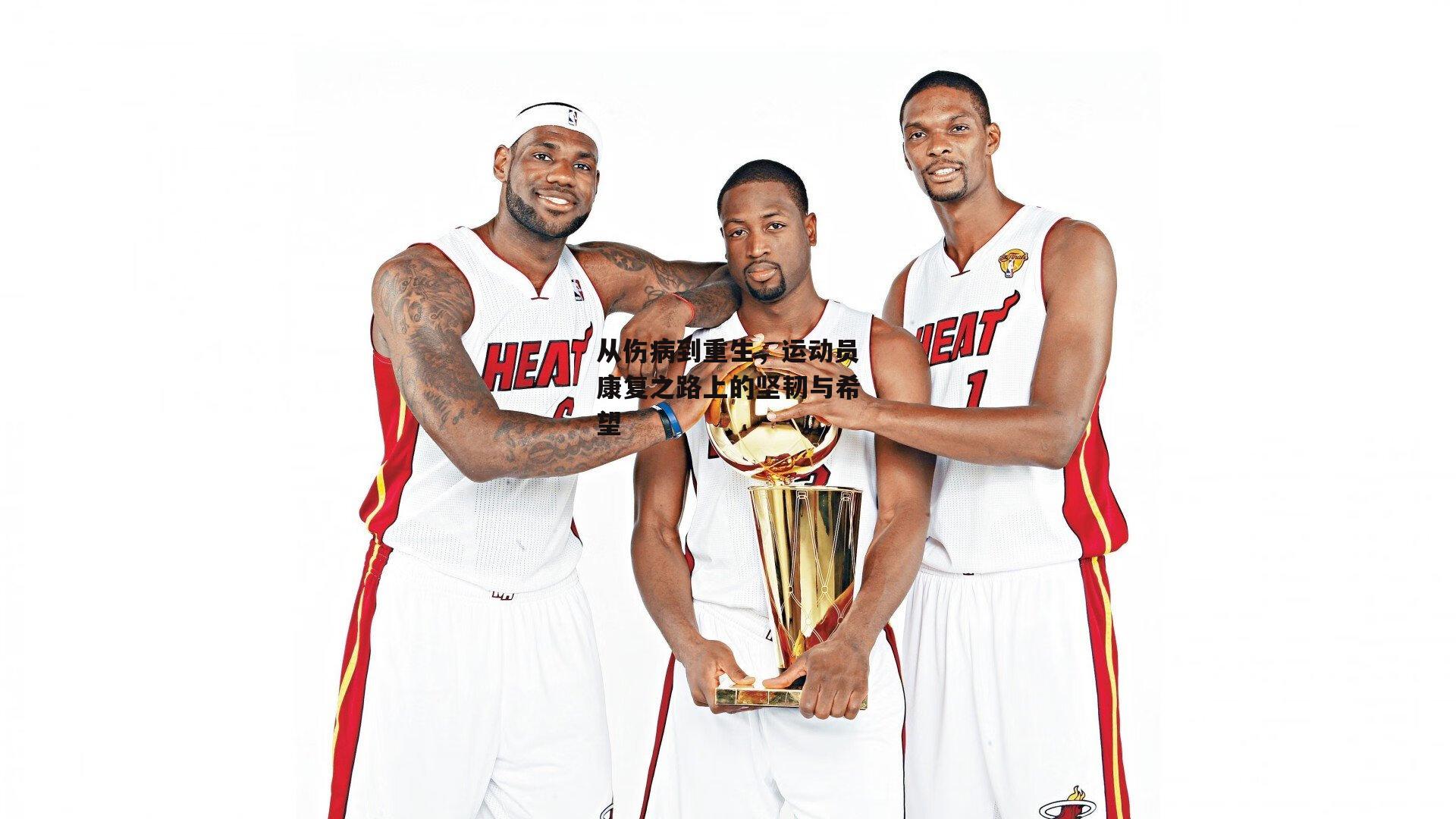 从伤病到重生,运动员康复之路上的坚韧与希望